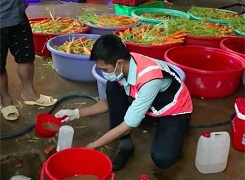 8 vu thuc pham ban chan dong nam 2019