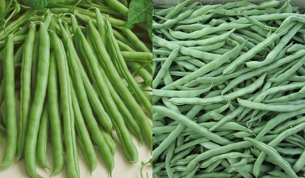 Dau-dua-ngam-hoa-chat-thuong-co-be-ngoai-bong-nhay-mo-mang-va-it-long-to