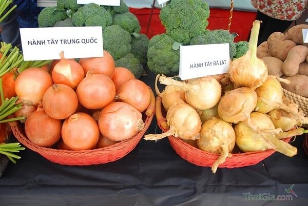 Phan-biet-hanh-tay-Trung-Quoc-va-hanh-tay-Da-Lat