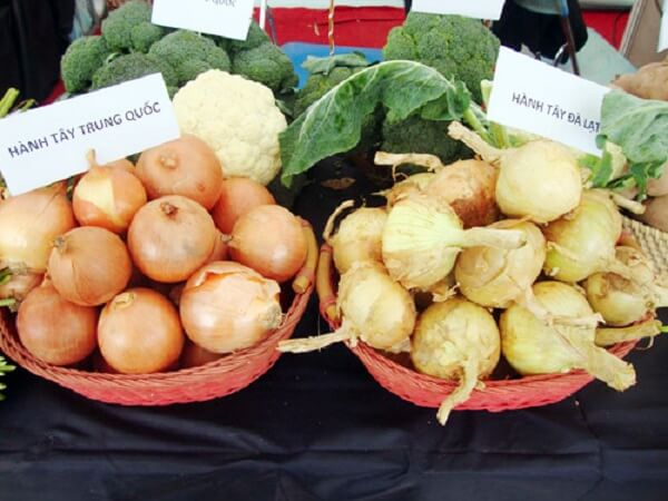 Phan-biet-hanh-tay-qua-mau-ma-kich-thuoc-ben-ngoai