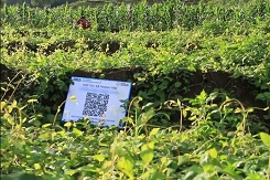 Phat trien truy xuat nguon goc qua ung dung cong nghe moi