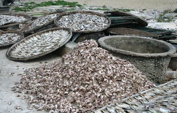 Su-dung-hoa-chat-trong-che-bien-ca-kho