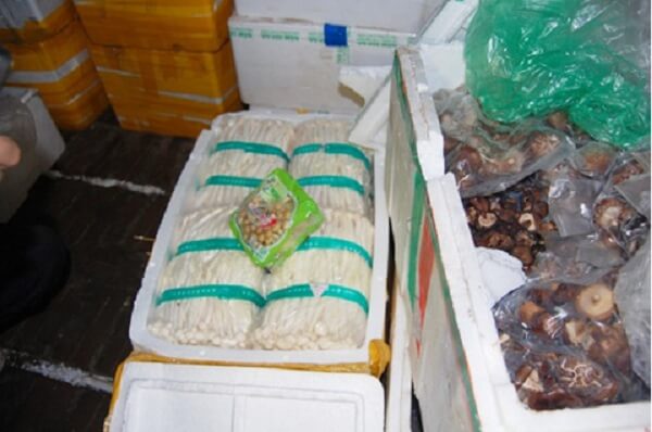 Tran-lan-cac-loai-nam-khong-nhan-mac-co-kha-nang-gay-benh-cho-nguoi-dung