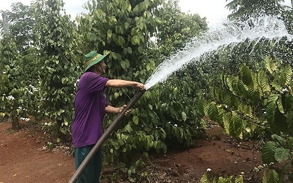 Truy-xuat-nguon-goc-cho-phep-luu-tru-thong-tin-tu-chon-cay-giong-den-khi-thu-hoach