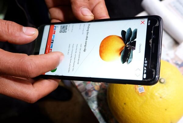 Truy-xuat-nguon-goc-dang-la-yeu-cau-bat-buoc-khi-doanh-nghiep-muon-xuat-khau-nong-san-ra-thi-truong-nuoc-ngoai Truy-xuat-nguon-goc-dang-la-yeu-cau-bat-buoc-khi-doanh-nghiep-muon-xuat-khau-nong-san-ra-thi-truong-nuoc-ngoai