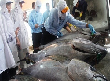 Truy xuất nguồn gốc cá ngừ Thái Bình Dương sử dụng công nghệ nào?