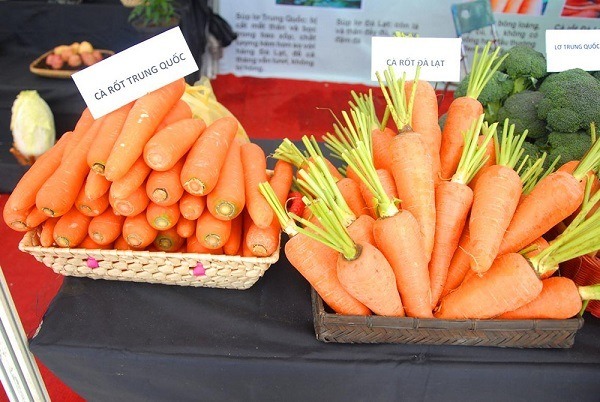 Nhận biết cà rốt Trung Quốc