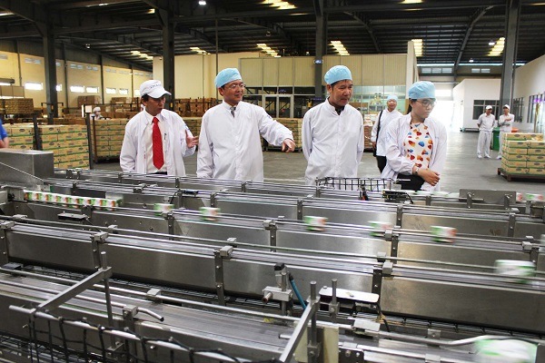 doanh-nghiep-san-xuat-sua-dang-gap-kho-khan-trong-quan-ly doanh-nghiep-san-xuat-sua-dang-gap-kho-khan-trong-quan-ly