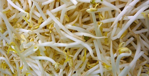 Nhận biết giá đỗ nhiễm hóa chất Nhận biết giá đỗ nhiễm hóa chất