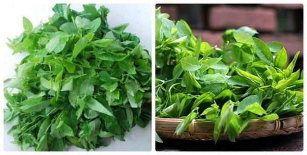 Nhận biết thực phẩm hữu cơ qua hình dạng