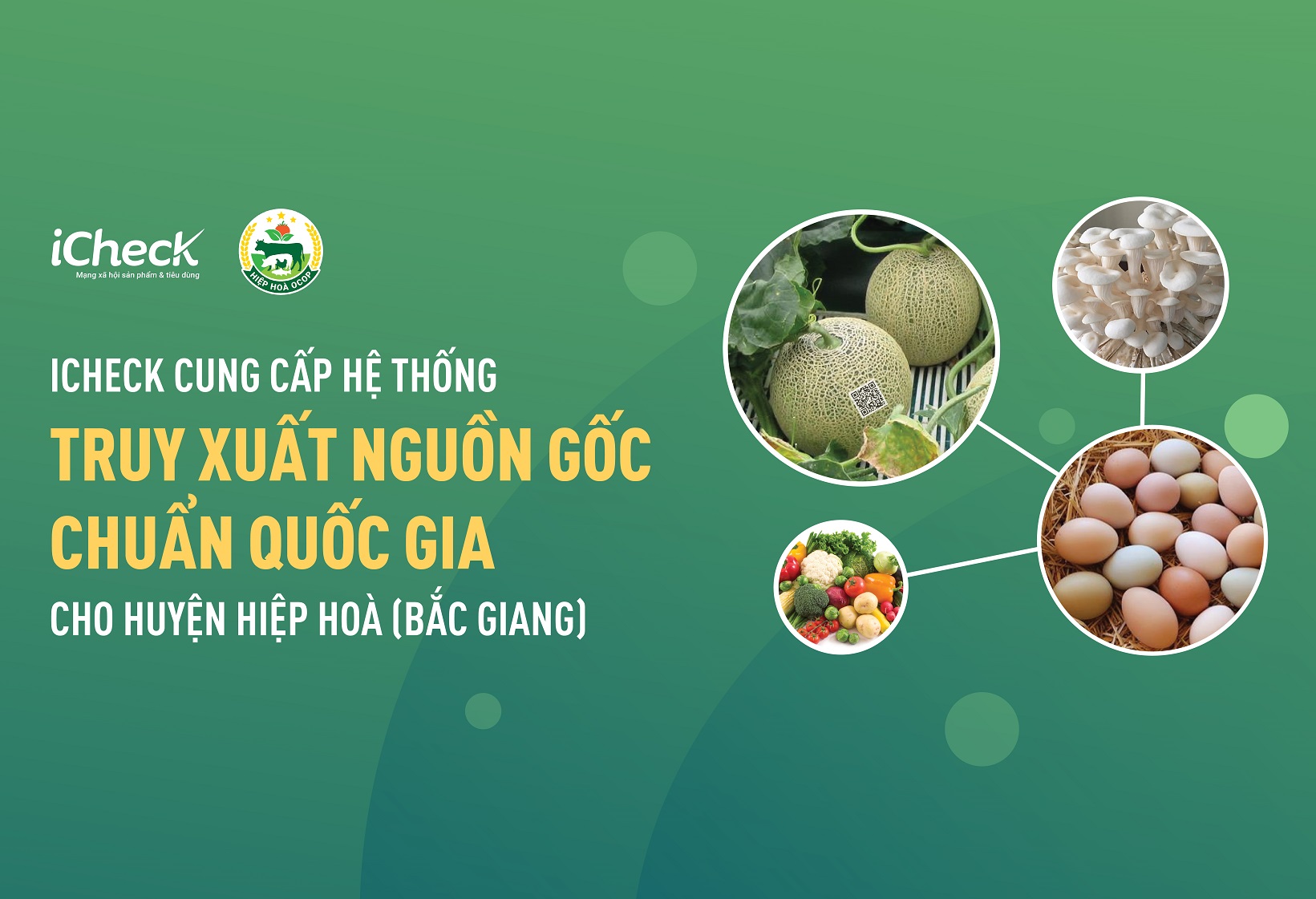 iCheck cung cap He thong Truy Xuat Nguon Goc chuan quoc gia cho huyen Hiep Hoa (Bac Giang)