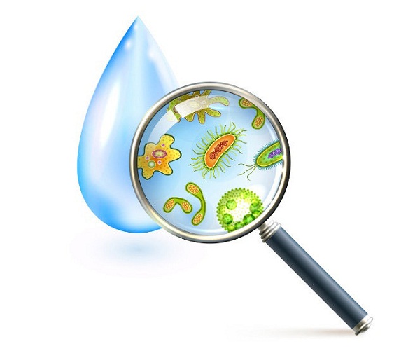 Nhận diện nước khoáng Lavie thật/giả chỉ trong tích tắc