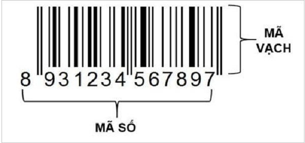 Hướng dẫn áp dụng mã vạch GS1 trong 10 bước đơn giản Hướng dẫn áp dụng mã vạch GS1 trong 10 bước đơn giản