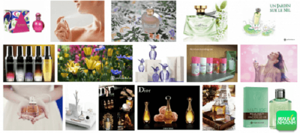 Hình dáng và bao bì sản phẩm Hình dáng và bao bì sản phẩm