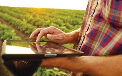 Khẳng định vị thế doanh nghiệp không thể bỏ qua truy xuất nguồn gốc