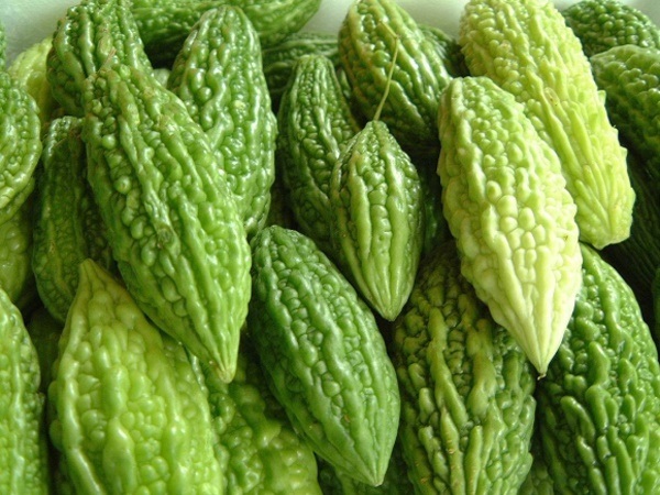 Thận trọng khi lựa chọn mướp đắng Thận trọng khi lựa chọn mướp đắng