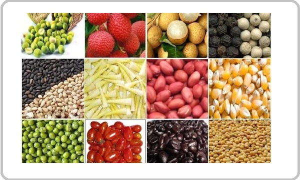 Vì sao doanh nghiệp Việt “khó khăn” khi lấn sang thị trường Trung Quốc?