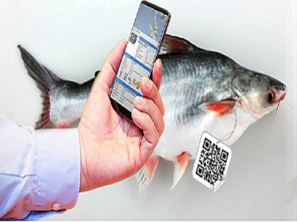 quet-ma-vach-cua-hai-san-truoc-khi-mua