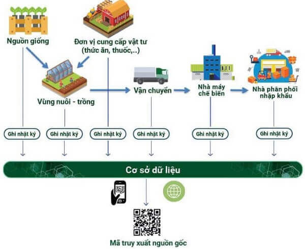 quy-trinh-luu-tru-du-lieu-truy-xuat-nguon-goc-thuc-pham