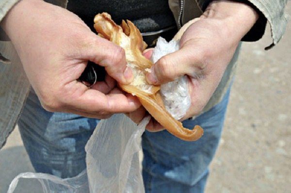 Tai heo giả tại thị trường Trung Quốc