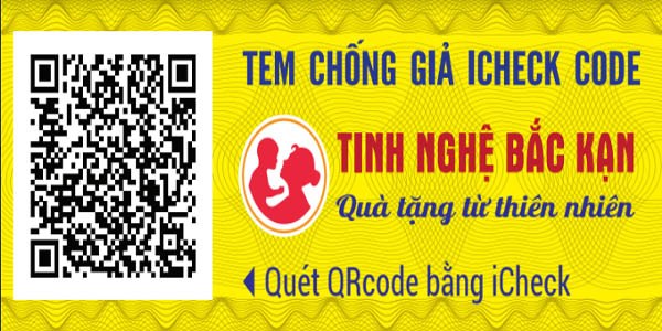 tem-chong-gia-tinh-nghe-bac-can