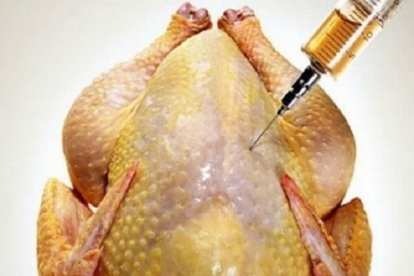 tiem-thuoc-an-than-vao-thit-ga-de-tang-trong-luong