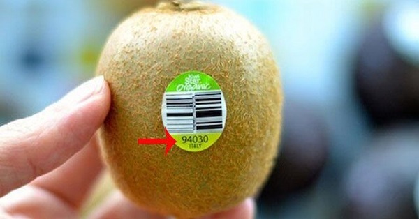 thuc-hien-ma-hoa-thong-tin-cho-ma-vach-trai-cay