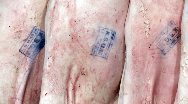 Thực trạng truy xuất nguồn gốc thịt heo trên thị trường