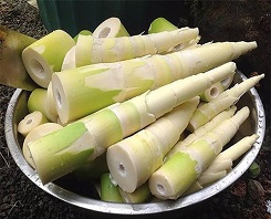 Cach nhan biet mang tuoi co chua hoa chat tay rua 