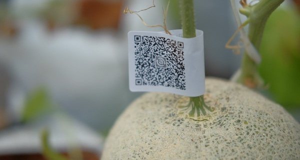 Đăng ký tem truy xuất nguồn gốc