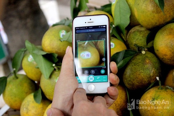 truy-xuat-nguon-goc-qua-app-iCheck-scanner